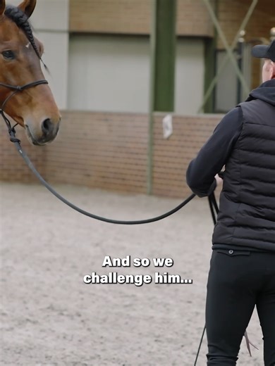 In this clip, I'm working with Matt Harnacke's horse Etro. You see a horse that isn't fully aware of his own body. When I ask him to open up, he doesn't quite know how to move his feet and get from A to B. Imagine what his reaction would be if he was faced with something scary his instincts tell him to move away from. His body will only bring him further into a state of insecurity.We have to teach him the answer. We challenge him slightly so he learns that he can move his body, yield to the spac