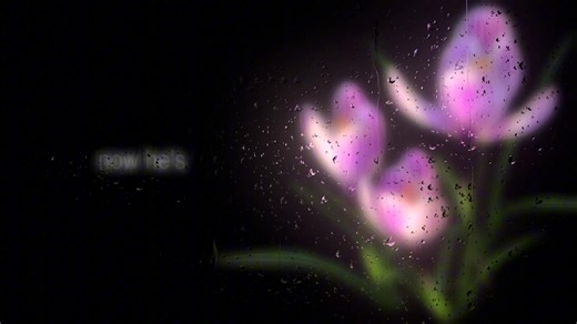 Ultimate Guide to Brewing Perfect Espresso