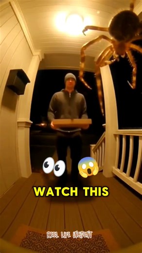 spyder scared delivery man😂 #usa #funny #viral #subscribe #birdtrend