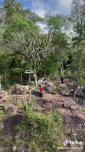La Tirolesa del Salto Suizo: Aventura en la Naturaleza