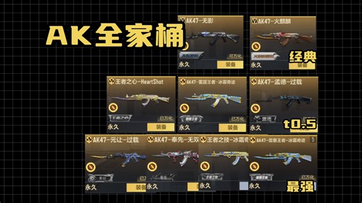 ak全家桶 一口气看完所有的英雄级ak