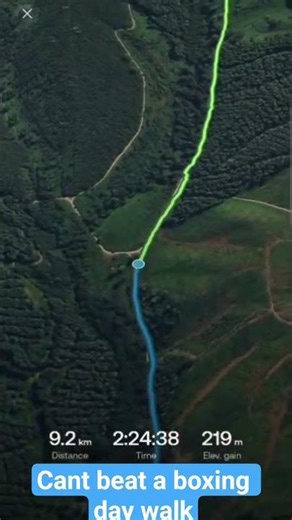 Nice crisp walk to start the day #walking #nature #hiking #alltrails #coldmorning #morningwalks