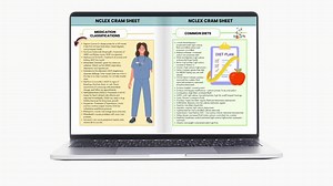 NCLEX Cram Sheet: Nursing Study Guide, Upgraded Hyperlinked 2026 (digital Download) - Etsy