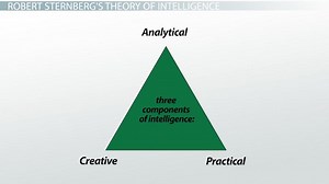 Analytical Intelligence | Definition, Role & Examples