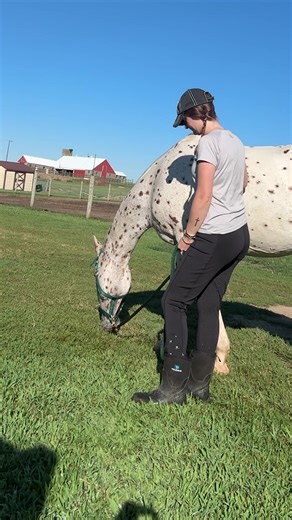 You’d do anything to keep your horse comfortable. But the truth is, most joint supplements don’t work — they’re messy, poorly absorbed, or simply ignored by picky eaters. Joint & Mobility Bites are different. Vets recommend them. Horses love them. And owners across the country are seeing real results in just 30 days. Safe, drug-free, and competition compliant, these bites are more than a supplement — they’re the daily comfort your horse deserves. Because when your horse feels better, everything 