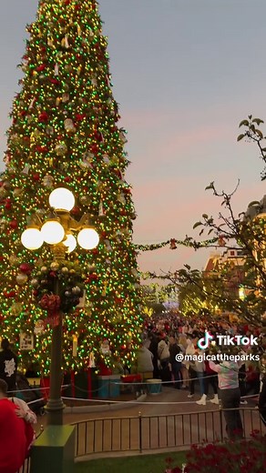 Light up your night during the holidays at Disneyland with the Christmas Tree lighting ceremony!🎄 Happens every day at 5PM on Main Street USA ✨✨✨✨ #christmastree #christmaslights #mainstreetusa #holidays #disneyland