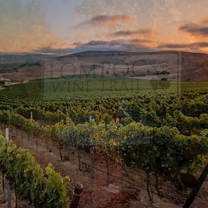 Award-winning wineries have put Lompoc on the map as a top California wine tasting destination. 🍇 🍇 Try these 8 wineries on your next tasting trip: >>https://goo.gl/5djfFg #explorelompoc #wine #wineries #vineyards #wineharvest #visitcalifornia | Explore Lompoc