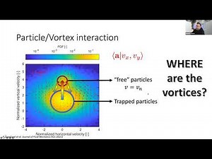 Direct visualization of the quantum vortex density law in rotating 4He