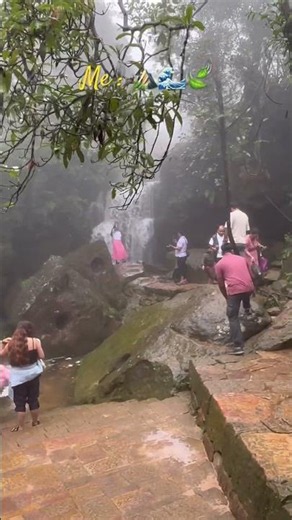 Meghalaya : one the best Trip in June month (Monsoon Season a). #northeasttour #meghalaya