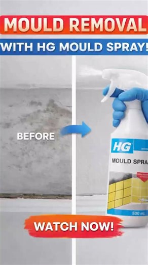 👉 See the transformation from dirty to spotless and learn how to use it effectively! 😳😱#mold