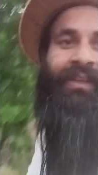 Capturing a Wild Bee Swarm – Up Close!