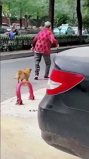 Funniest Walking Fails & Moments – You Can’t Watch Without Laughing! 😂🚶‍♂️| Lofi Lantern | #shorts