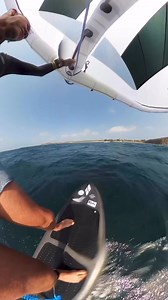 2.1M views · 10K reactions | 勞 A windsurfer collides with a whale calf off Mona Vale in Sydney! #crazydiver #scubalover #diving #divingtrip #divingdeep #scubadiving #scuba #scubalife #scubadiver #sea #oceanlife #ocean @fathomlesslife | Scuba Diving Shop | Facebook