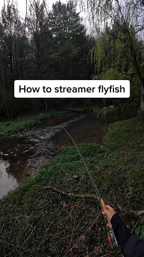 33K views · 264 reactions | Streamer fishing is all about fly...