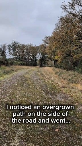 #viralreelsシ #reelsfbシ #viralreelsfb #fyp #urbex #reel #abandoned #military #tank | ۦۦ ۦۦ ۦۦ ۦۦ