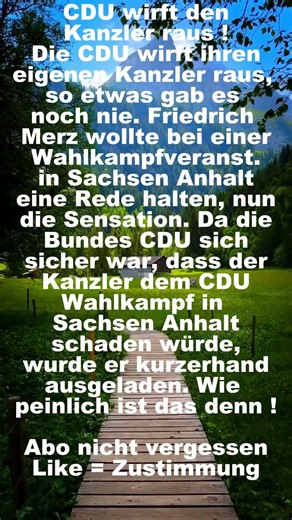 CDU wirft Kanzler raus #politik #afd , #shorts , #shortsfeed, #shortvideo, #foryou, #fyp ,#deutsch