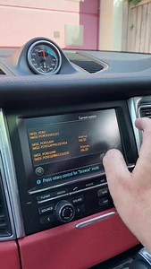 Porsche PCM 3.1 - Checking the internal modules status
