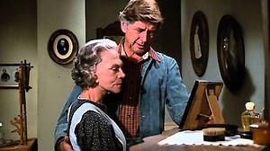 Watch The Waltons Season 7 Episode 11 - Day of Infamy