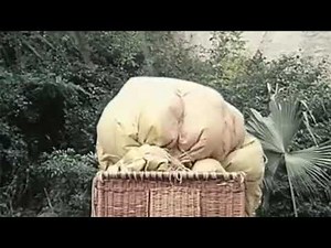 Giant Balloon Inflation (Short Clip)