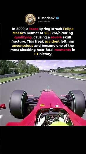 The Horror Created by an 800-Gram Catfish The 2009 Hungarian GP