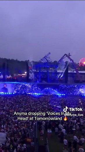 Anyma Drops