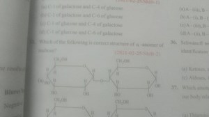 Which of the following is correct structure of \alpha-anomer of... | Filo