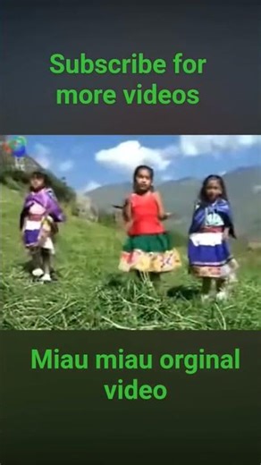 miau miau orginal video #cat