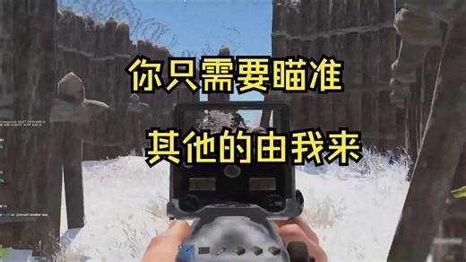 Rust-使用Sumi成为最强