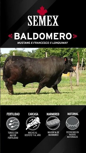 BALDOMERO ♦️ SEMEX