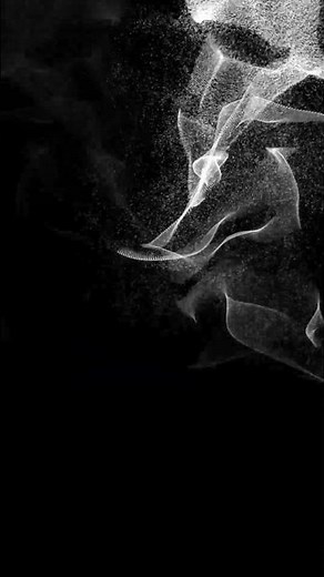 Dynamic Thank You Text Animation Stock Footage #stockvideo