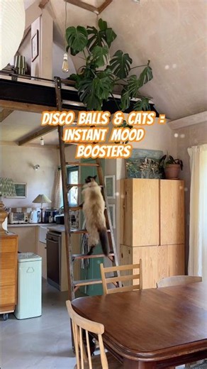 Disco ball = instant mood booster