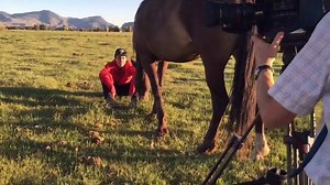 First day filming with Outdoor Idaho at Wild Love Preserve, no surprise, hi-jinx courtesy Apple. Wild Love Preserve www.wildlovepreserve.org Video ©2016 Andrea Maki | Wild Love Preserve