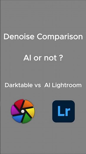 Denoising in Darktable and Lightroom using AI Denoise - The comparison #darktable #lightroom