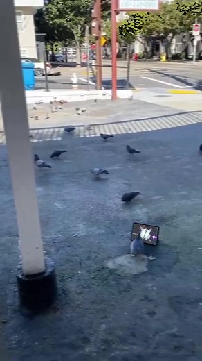 Unboxing the Elusive Weapon in Genshin Impact