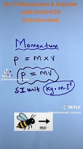Understanding Momentum and Impulse for Grade 12