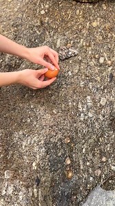 Egg Boiled in a rock? | Transformazing