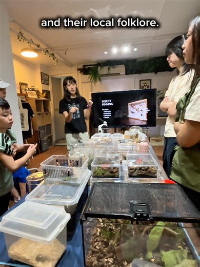 *use your SG Culture Pass Credits! Before entomology, people used to explain insects through gods, spirits, ancestors and even supernatural causes and this even taught kids interesting life lessons. For example, a mantis can teach you situational awareness because, you know, these guys are always focused on their prey. Cockroaches have been around for so many years. Moths visiting your house can mean that an ancestor is actually visiting you. There is so much you can explore beyond the science o