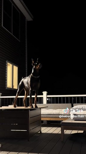 Heather Allen on Reels