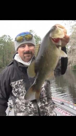 Brad Whatley is on the hunt for three more keepers! Whatley finished 2nd last year at the St. Johns River. Can he come out on top this year? Tune in on The Roku Channel and Bassmaster.com! #bassmaster #bass #basselite #bassfishing #basslive | Bassmaster