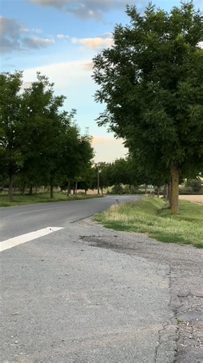 Lunch Control: Tuning the GTI for a Perfect Meal