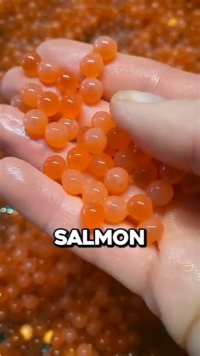 Artificial Breeding of Salmon Explained 🤯