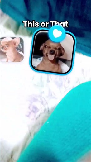 20 de março de 2026