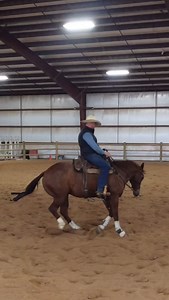 1.7K views · 2.8K reactions | This just scratches the surface of what a horse needs to know to spin well, but will certainly get you started! If you can focus on the drills and let the spin be the release, not only will your horse learn how to spin, but they’ll learn to love it. onion #cowboy #western #cowboylife #westernlifestyle #horses #buckaroo #horse #cowboys #horseman #horsemanship #spin #horsesspinning #horsetraining #horsetrainingtips | Startup Cowboy | Facebook