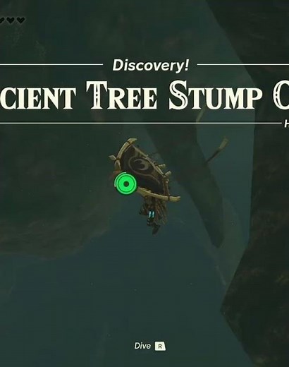 Fierce Deity Armor Set | Zelda TotK #zelda #totk #tearsofthekingdom #zeldatotk #gaming