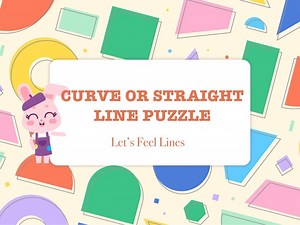 Curve or Straight Line Puzzle