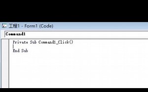 Visual Basic 6.0精简版 按钮与print