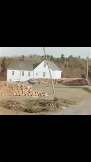 Timber industry clip from the 1950s | Historical Pictures