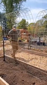 3.6K views · 88 reactions | #cattlepaneltrellis #cattlepanel #setup #stepbystep #starttofinish #howto #doityourself #gardenhack #gardenproject #gardentip #garden #gardening #homesteading #permaculture #farm #farmlife #easyproject #foryou #foryoupage #farmersteve727 #gardening101 #diy #watchthis #watchtillend #tractorsupply | Homestead Hacks | Facebook