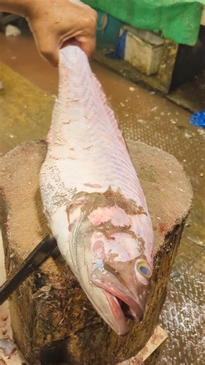 Hamour Fish Cutting Fantastic SkillsIHamour Fish CuttingI Hamour Fish Filleting Skills