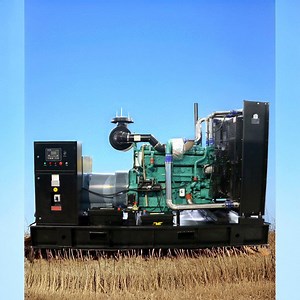 [Hot Item] Cummins 4-Stroke Diesel Engine ATS Diesel Reliable Generator 300kw